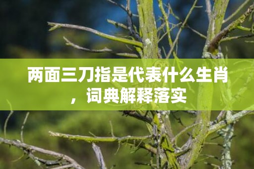 两面三刀指是代表什么生肖，词典解释落实