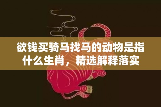 欲钱买骑马找马的动物是指什么生肖，精选解释落实