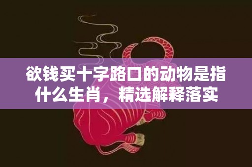 欲钱买十字路口的动物是指什么生肖，精选解释落实