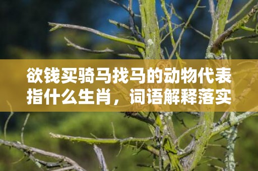 欲钱买骑马找马的动物代表指什么生肖，词语解释落实