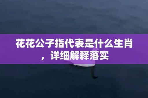 花花公子指代表是什么生肖，详细解释落实