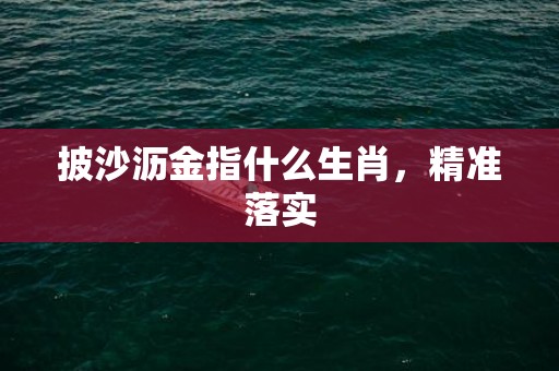 披沙沥金指什么生肖，精准落实