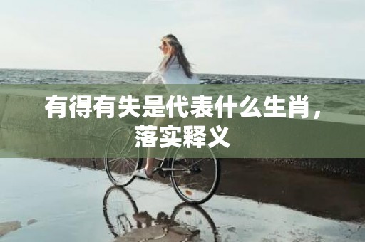 有得有失是代表什么生肖，落实释义