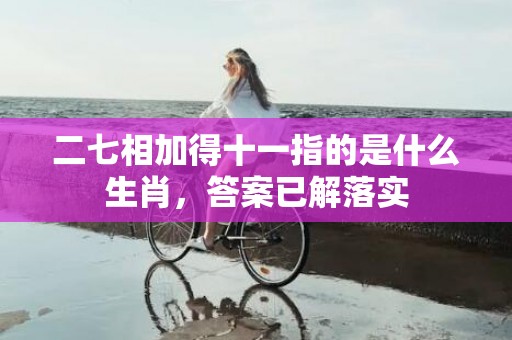 二七相加得十一指的是什么生肖，答案已解落实