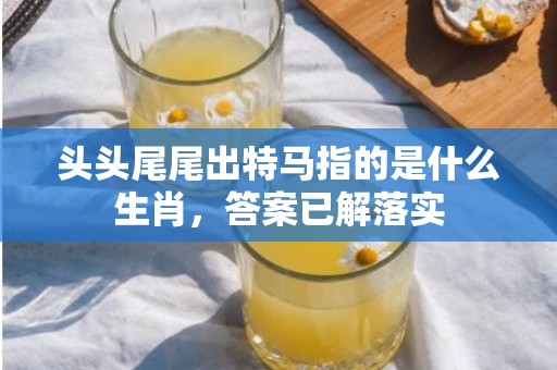 头头尾尾出特马指的是什么生肖，答案已解落实