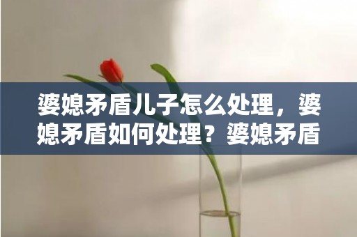 婆媳矛盾儿子怎么处理，婆媳矛盾如何处理？婆媳矛盾主要在于婆婆