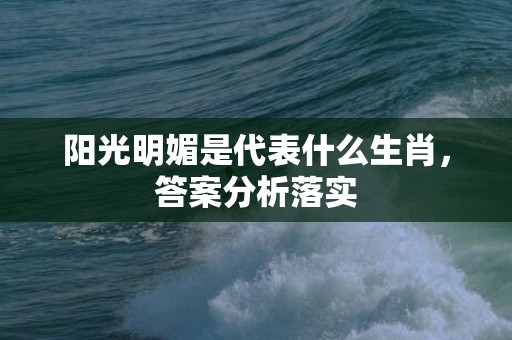 阳光明媚是代表什么生肖，答案分析落实