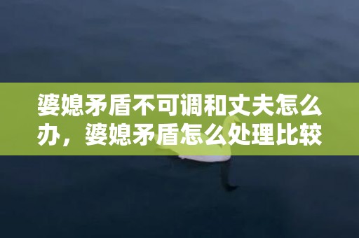 婆媳矛盾不可调和丈夫怎么办，婆媳矛盾怎么处理比较好一点呢知乎