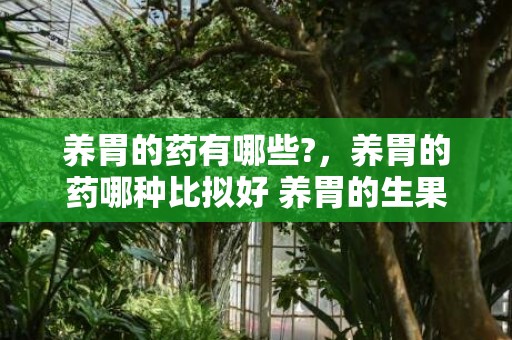 养胃的药有哪些?，养胃的药哪种比拟好 养胃的生果有哪些