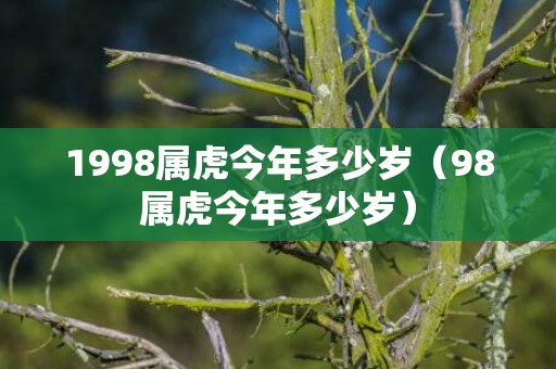 1998属虎今年多少岁（98属虎今年多少岁）