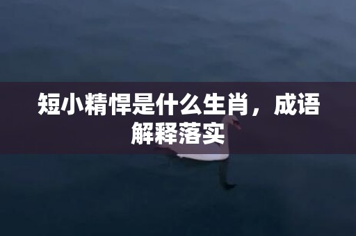 短小精悍是什么生肖，成语解释落实