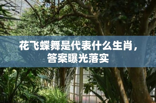 花飞蝶舞是代表什么生肖，答案曝光落实