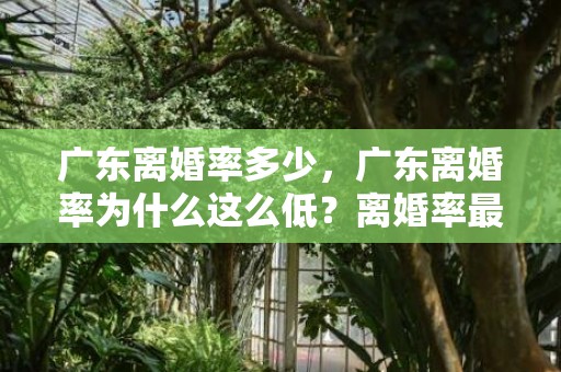 广东离婚率多少，广东离婚率为什么这么低？离婚率最低的十大城市