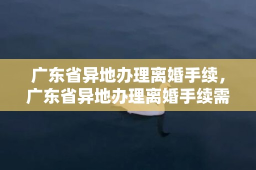 广东省异地办理离婚手续，广东省异地办理离婚手续需要什么