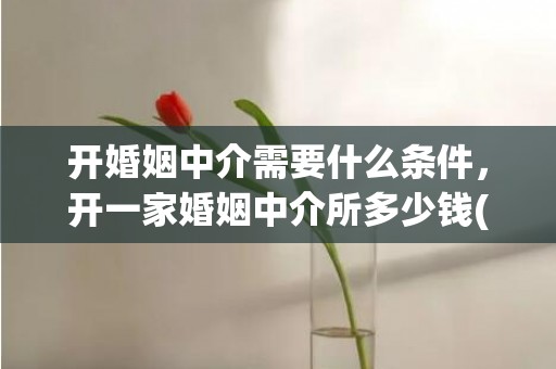 开婚姻中介需要什么条件，开一家婚姻中介所多少钱(开婚姻介绍所风险)