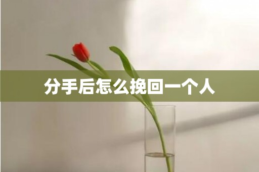 分手后怎么挽回一个人