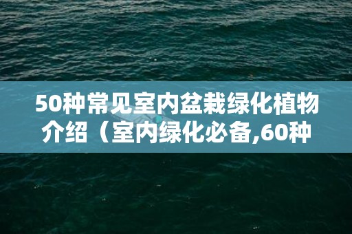 50种常见室内盆栽绿化植物介绍（室内绿化必备,60种盆栽植物图片及名称大全）