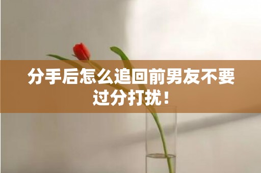 分手后怎么追回前男友不要过分打扰！