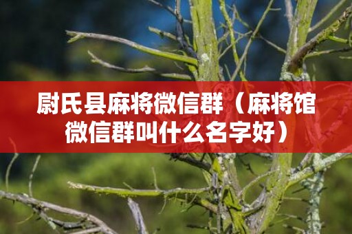 尉氏县麻将微信群（麻将馆微信群叫什么名字好）