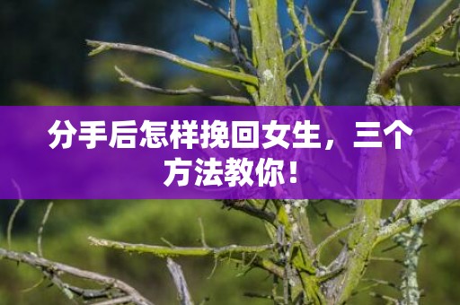 分手后怎样挽回女生，三个方法教你！