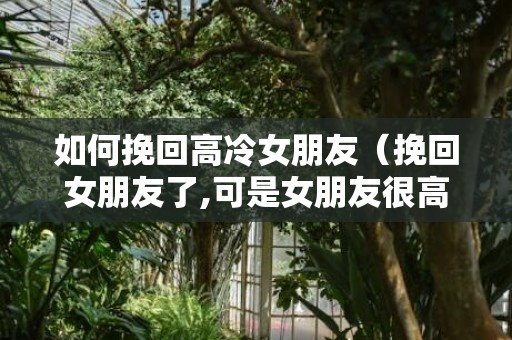 如何挽回高冷女朋友（挽回女朋友了,可是女朋友很高冷）