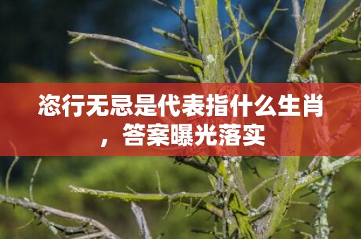 恣行无忌是代表指什么生肖，答案曝光落实