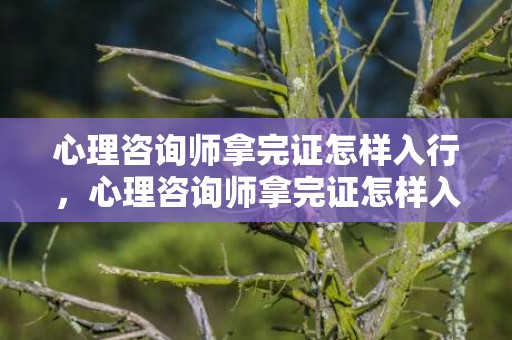 心理咨询师拿完证怎样入行，心理咨询师拿完证怎样入行