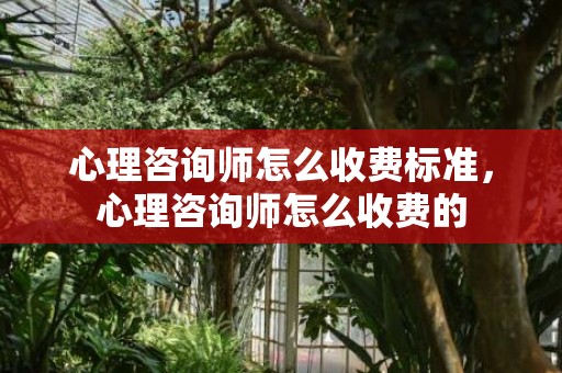 心理咨询师怎么收费标准，心理咨询师怎么收费的