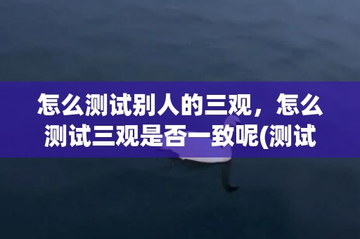 怎么测试别人的三观，怎么测试三观是否一致呢(测试情侣三观的100个问题)