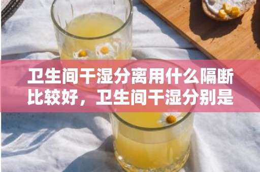 卫生间干湿分离用什么隔断比较好，卫生间干湿分别是什么意思  若何选择卫生间瓷砖