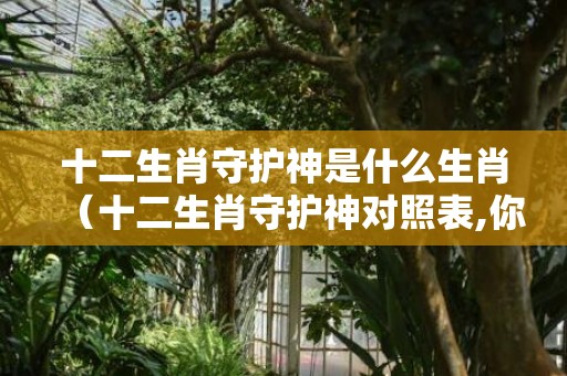 十二生肖守护神是什么生肖（十二生肖守护神对照表,你的守护神是谁）