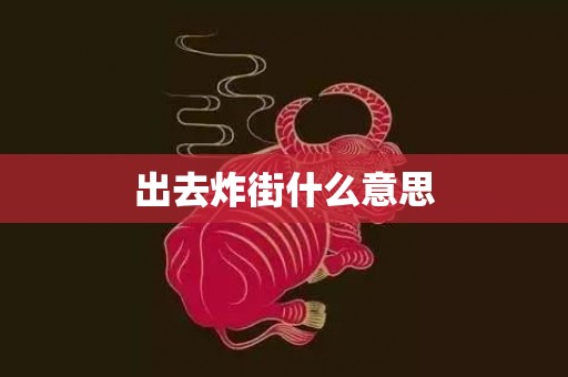 出去炸街什么意思