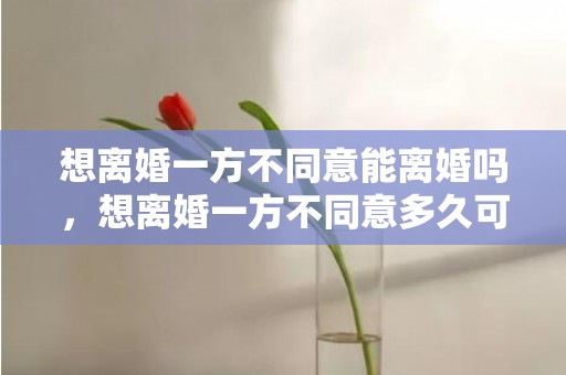 想离婚一方不同意能离婚吗，想离婚一方不同意多久可以起诉我