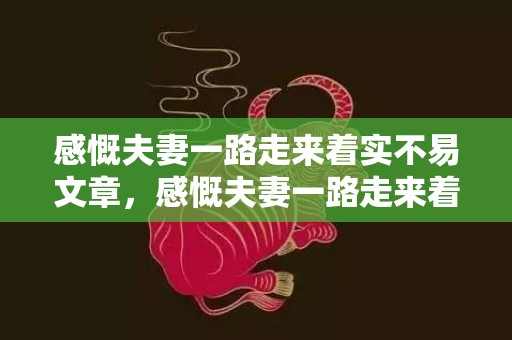 感慨夫妻一路走来着实不易文章，感慨夫妻一路走来着实不易的诗句