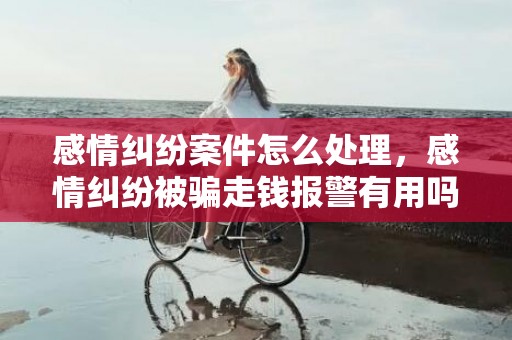 感情纠纷案件怎么处理，感情纠纷被骗走钱报警有用吗