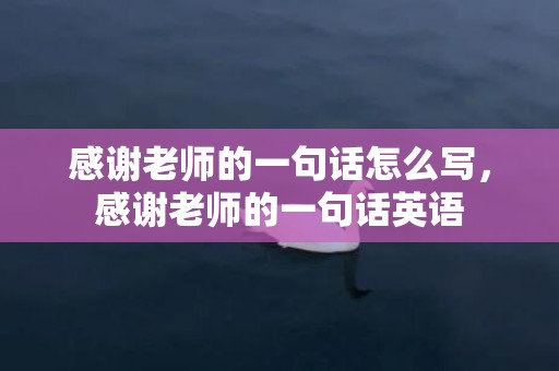 感谢老师的一句话怎么写，感谢老师的一句话英语