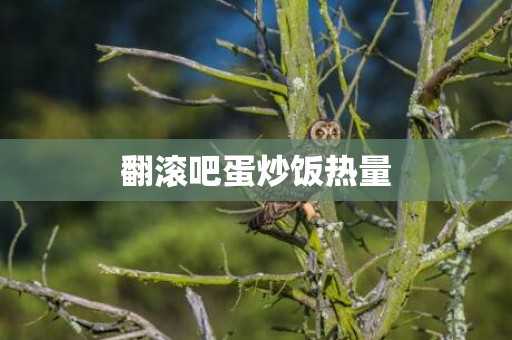 翻滚吧蛋炒饭热量