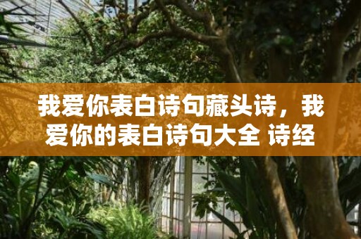 我爱你表白诗句藏头诗，我爱你的表白诗句大全 诗经里表白爱意的句子