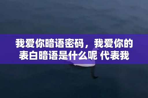 我爱你暗语密码，我爱你的表白暗语是什么呢 代表我爱你的暗语