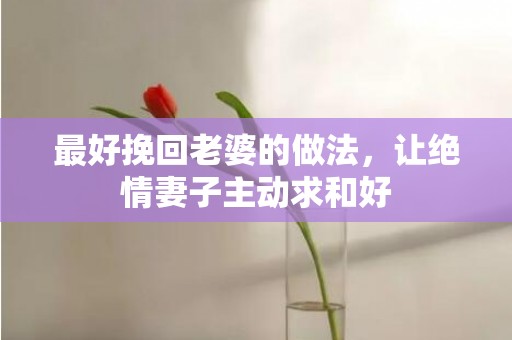 最好挽回老婆的做法，让绝情妻子主动求和好