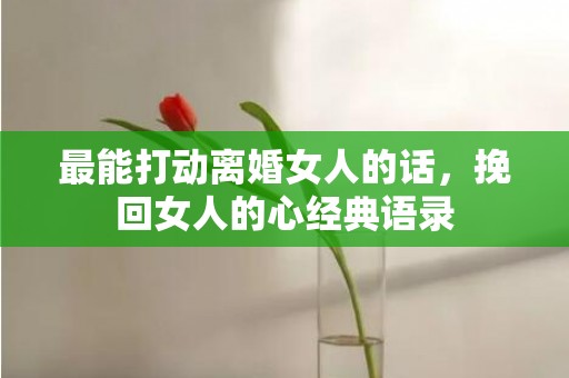 最能打动离婚女人的话，挽回女人的心经典语录