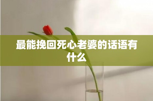 最能挽回死心老婆的话语有什么