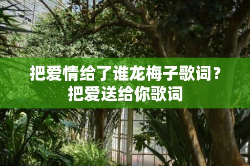 把爱情给了谁龙梅子歌词？把爱送给你歌词