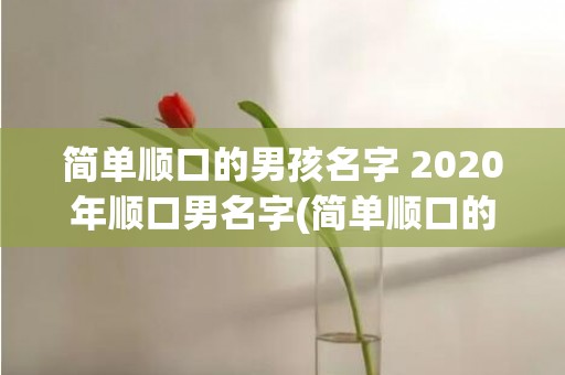 简单顺口的男孩名字 2020年顺口男名字(简单顺口的男孩名字小名)