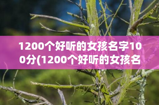 1200个好听的女孩名字100分(1200个好听的女孩名字大全)