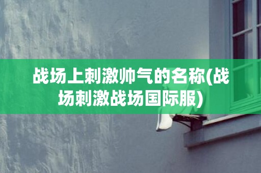 战场上刺激帅气的名称(战场刺激战场国际服)