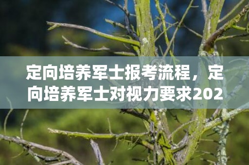 定向培养军士报考流程，定向培养军士对视力要求2023(最新体检标准)