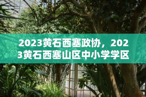 2023黄石西塞政协，2023黄石西塞山区中小学学区划分范围