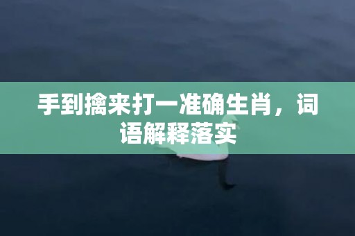 手到擒来打一准确生肖，词语解释落实