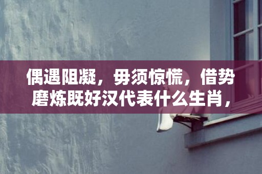 偶遇阻凝，毋须惊慌，借势磨炼既好汉代表什么生肖，精选解答落实